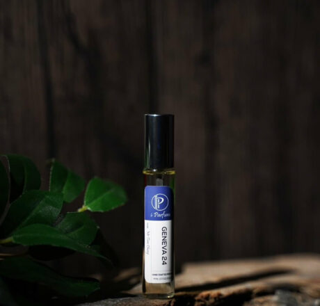 GENEVA 24 – Bên ngoài lạnh lùng, bên trong ấm áp