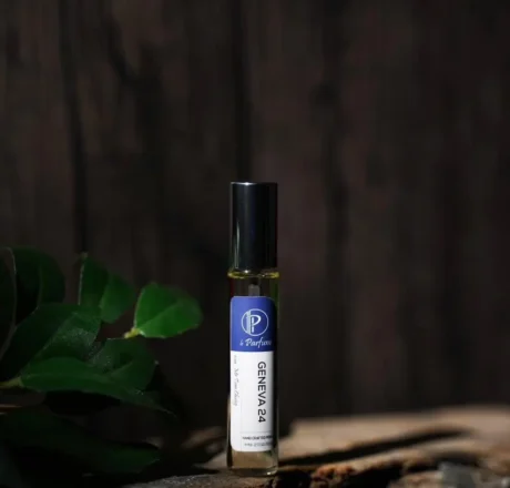 GENEVA 24 – Bên ngoài lạnh lùng, bên trong ấm áp