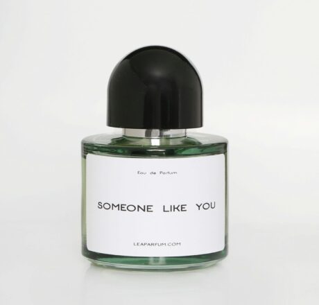 Someone Like You
