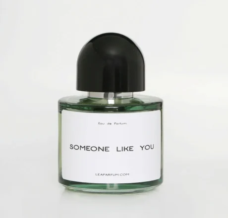 Someone Like You
