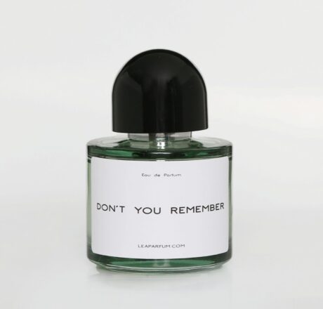 Don’t You Remember