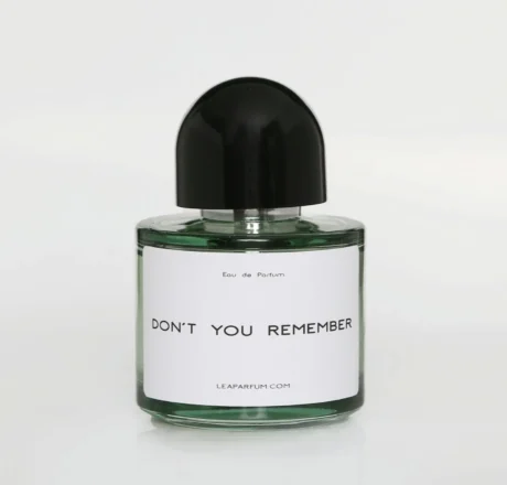 Don’t You Remember