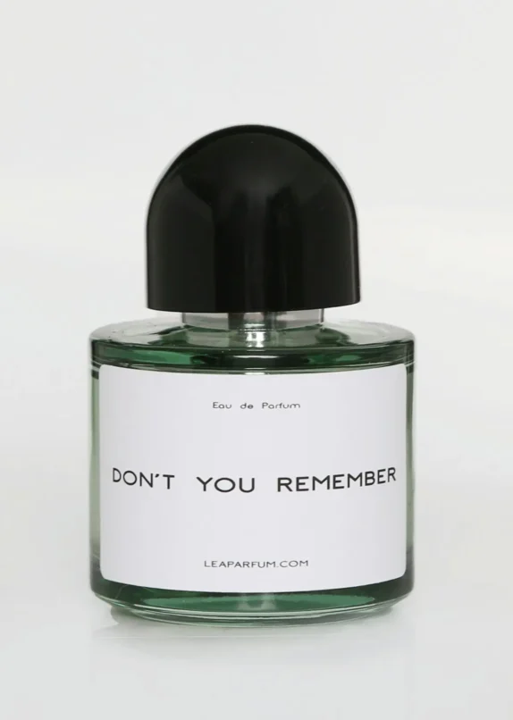 Don’t You Remember